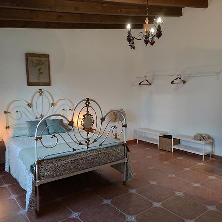 Finca Cho Rafael Gáldar Dış mekan fotoğraf