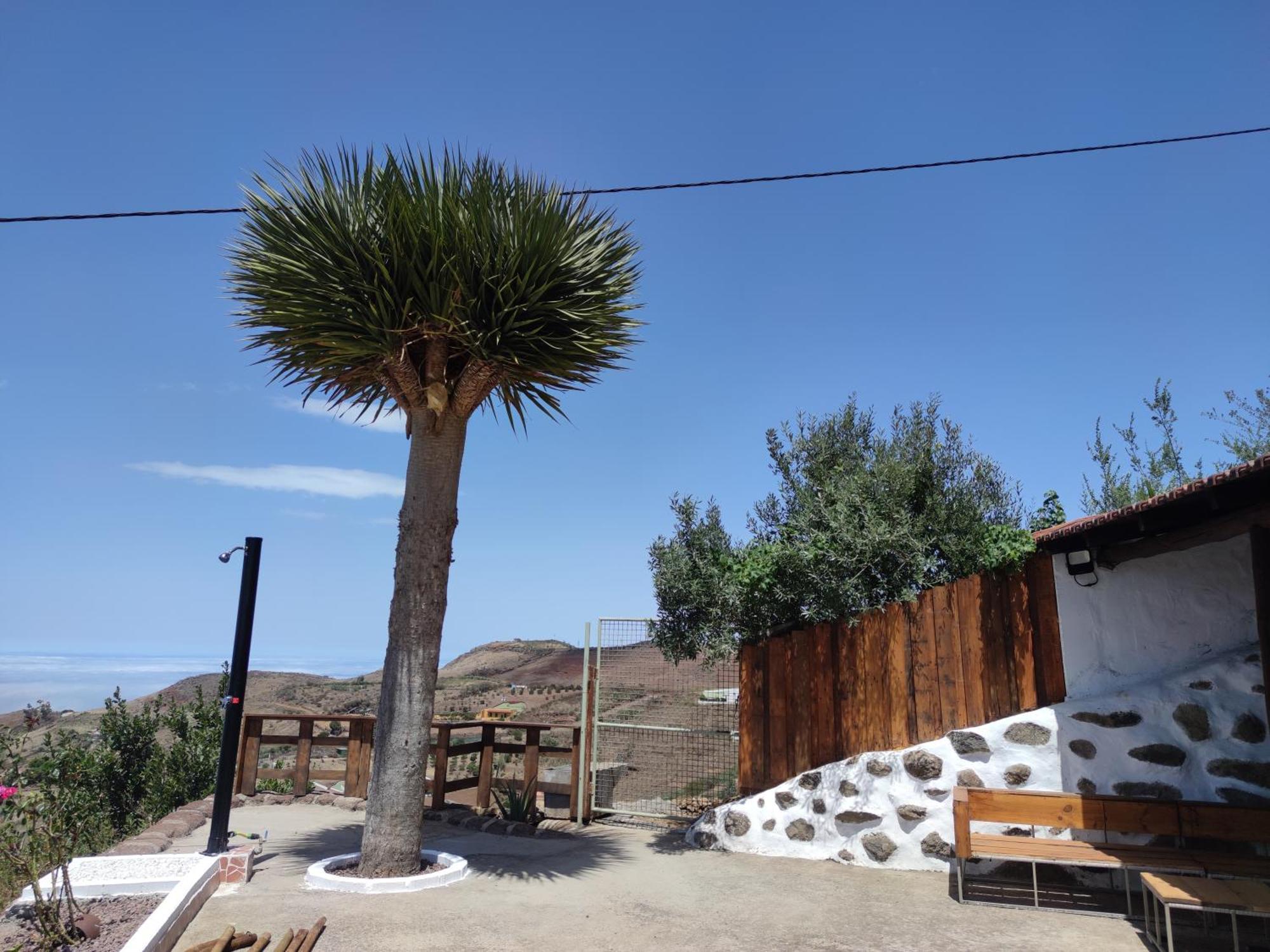 Finca Cho Rafael Gáldar Dış mekan fotoğraf